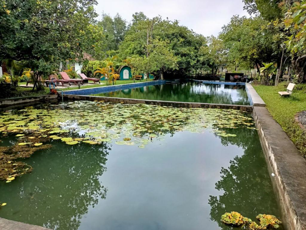 Bungalow For rent in Kampot