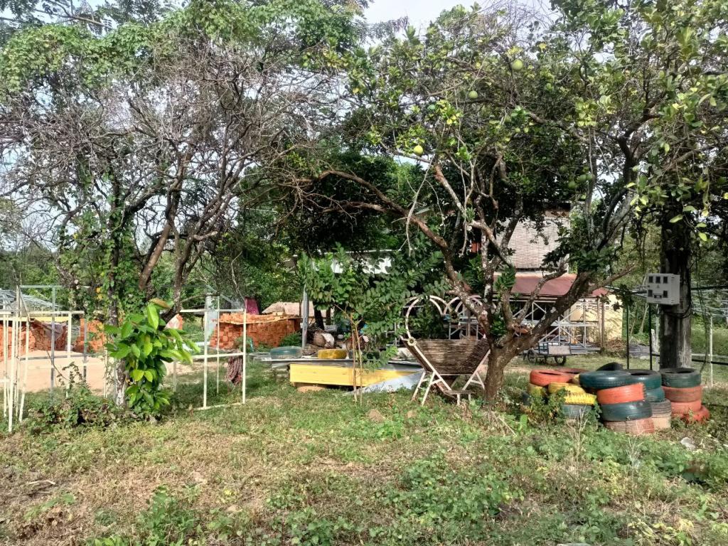 Land For Rent in Kampot