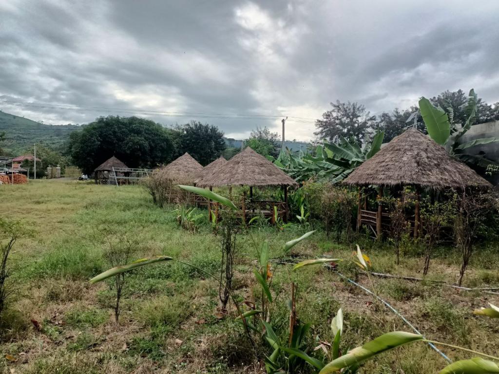 Land For Rent in Kampot