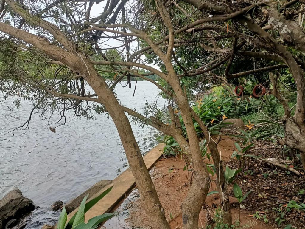 Land For Rent in Kampot