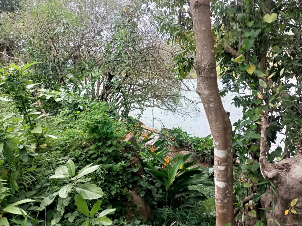 Land For Rent in Kampot