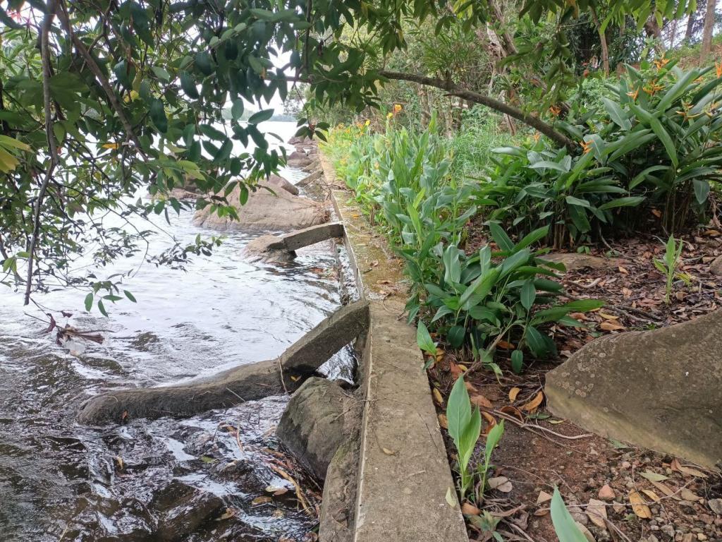 Land For Rent in Kampot