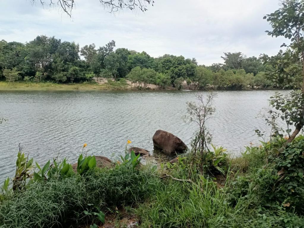 Land For Rent in Kampot